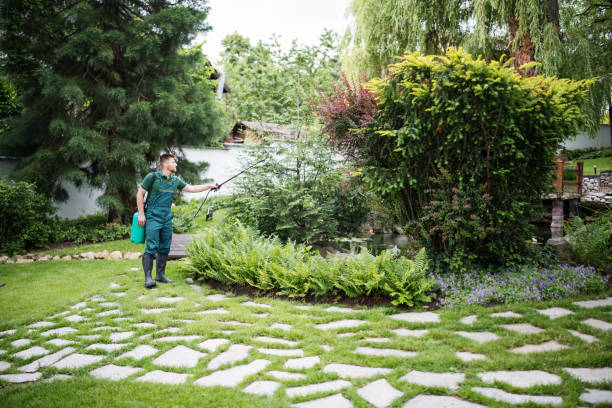 Best Wildlife Control Services  in Orchard City, CO