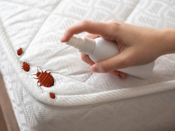 Best Pest Inspection Near Me  in Orchard City, CO