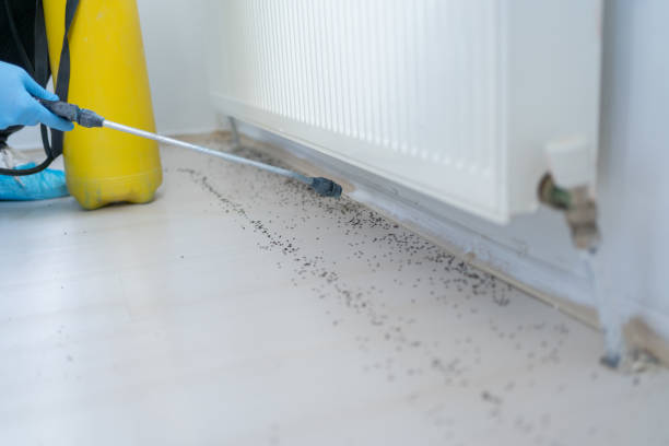 Orchard City, CO Pest Control Company