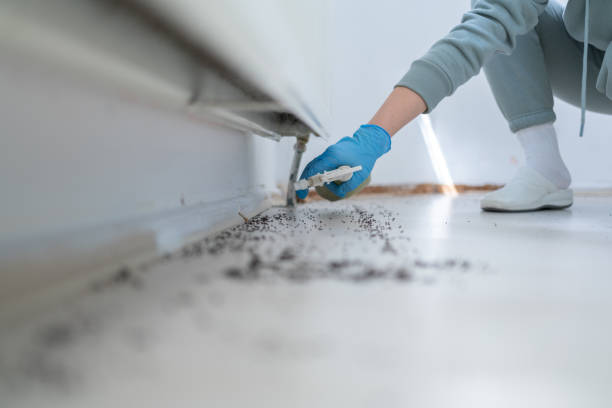 Best Affordable Pest Control Services  in Orchard City, CO